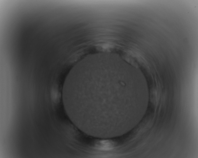 X0000089690324200706281420