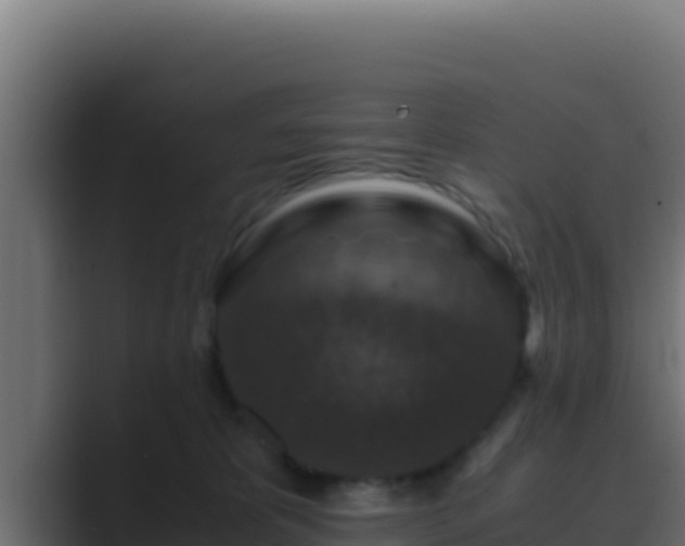 X0000089690325200706281420