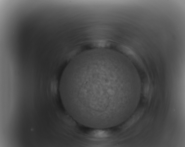 X0000089690326200706281420