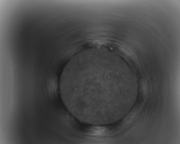 X0000089690328200706281420