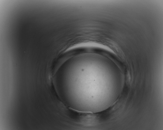 X0000089690329200706281420