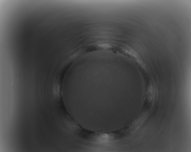 X0000089690330200706281420