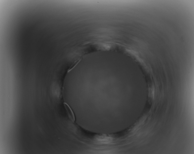 X0000089690331200706281420