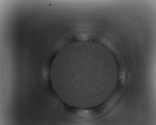 X0000089690332200706281420