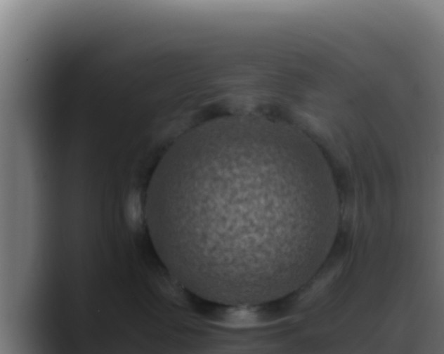 X0000089690335200706281420