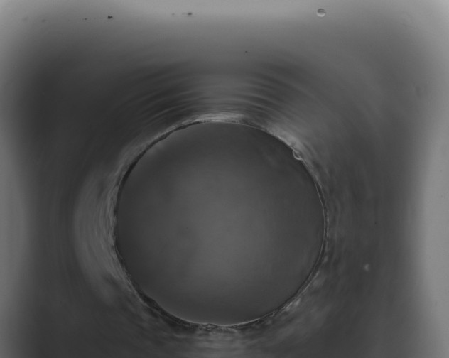 X0000089690337200706281419