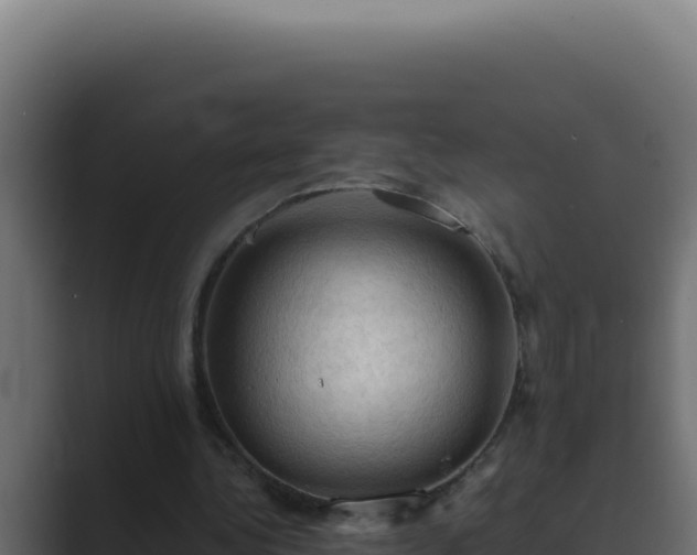 X0000089690340200706281419