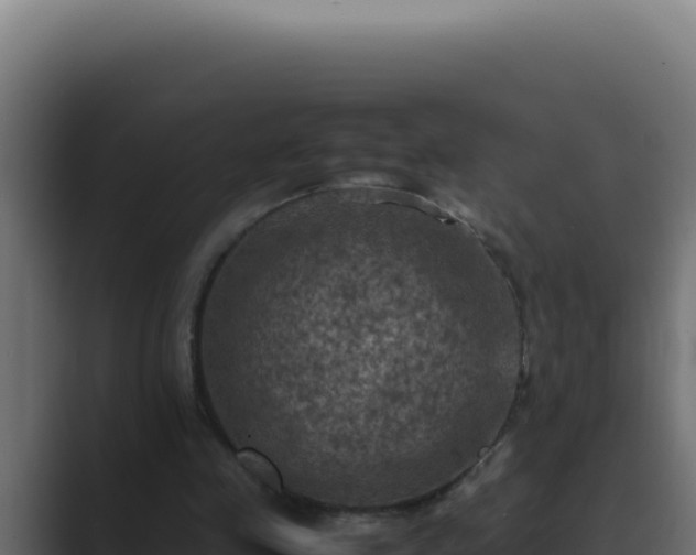 X0000089690341200706281419