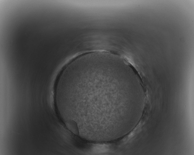 X0000089690342200706281419