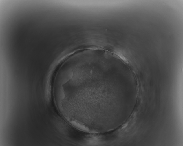 X0000089690343200706281419