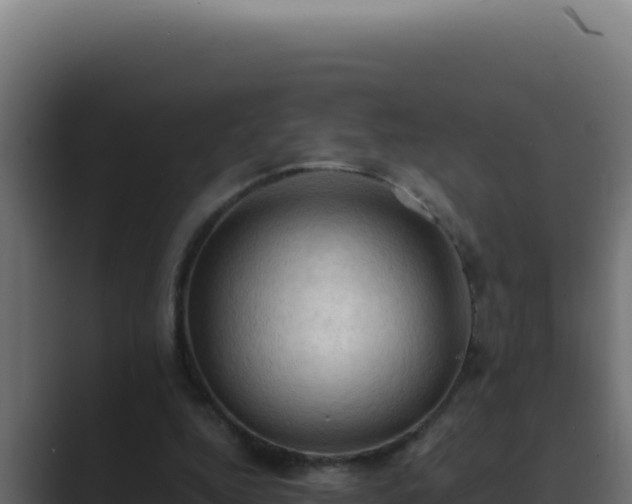 X0000089690344200706281419