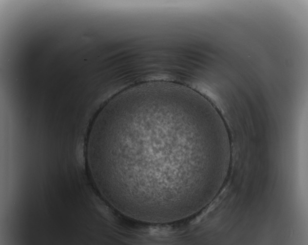 X0000089690345200706281419