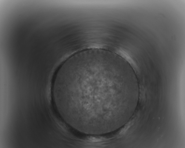 X0000089690346200706281419