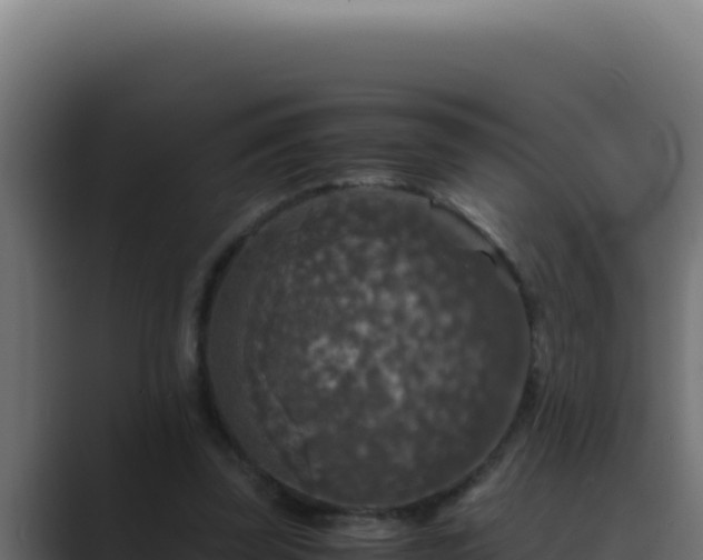 X0000089690347200706281420