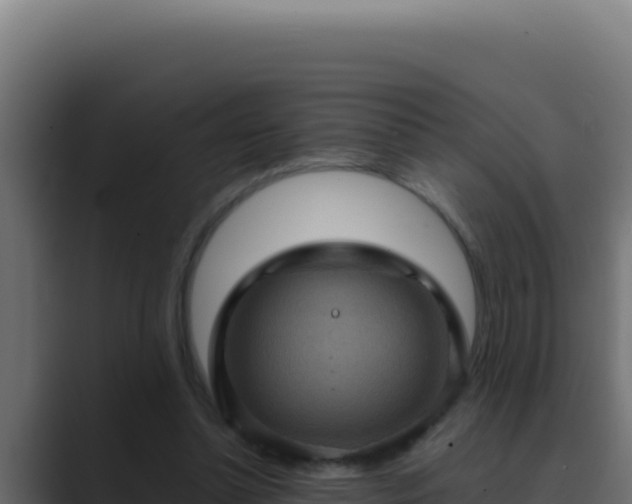 X0000089690348200706281420