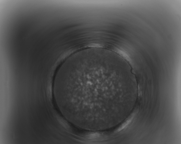 X0000089690349200706281420