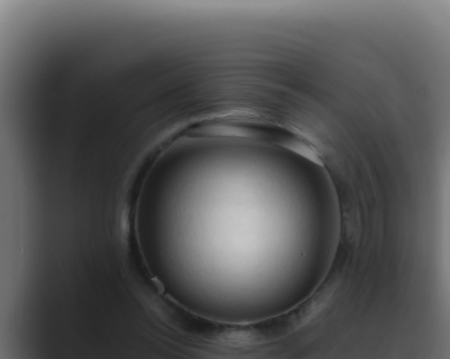 X0000089690350200706281420