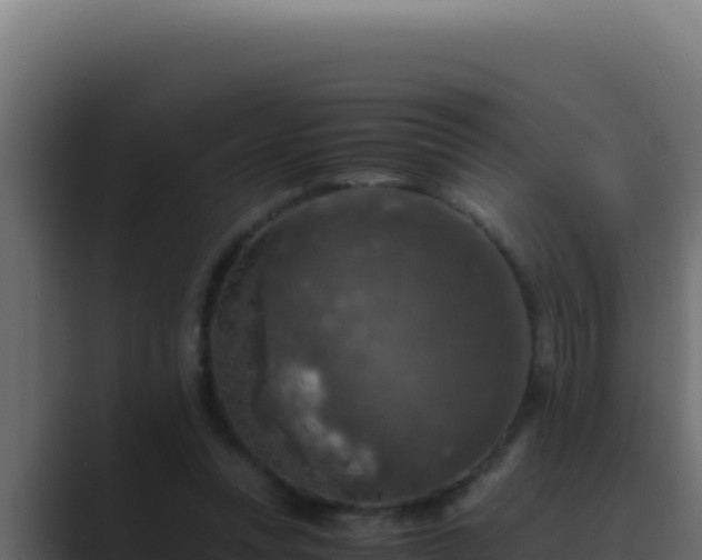 X0000089690351200706281420