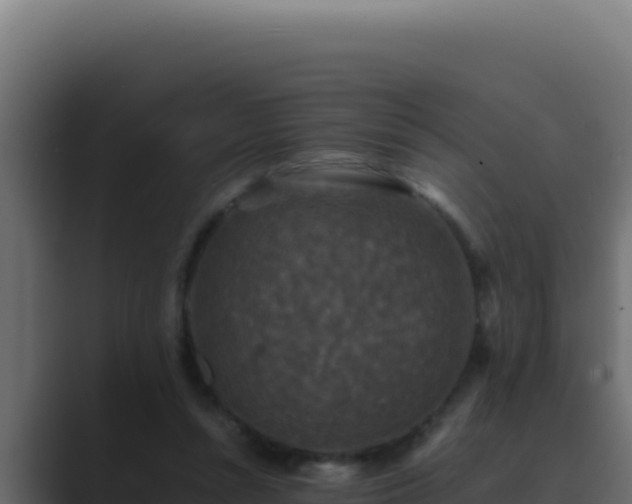 X0000089690352200706281420