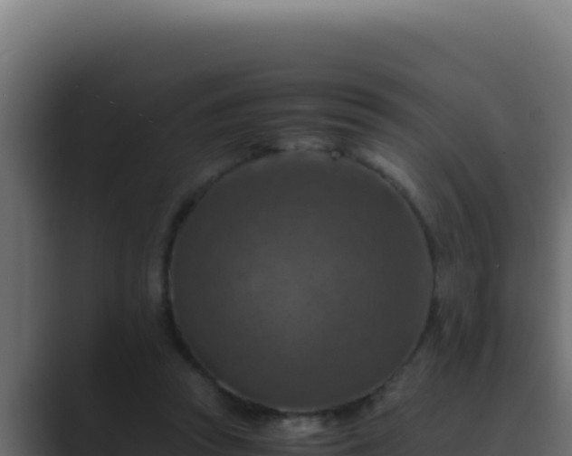 X0000089690353200706281420