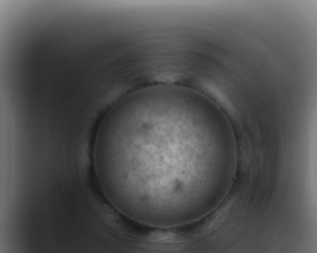 X0000089690354200706281420