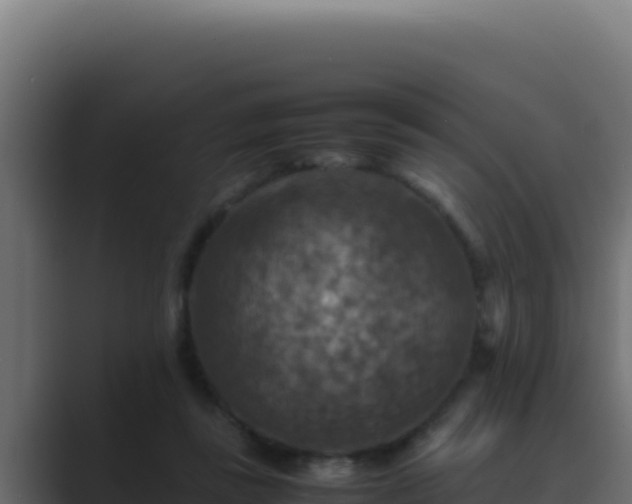 X0000089690355200706281420