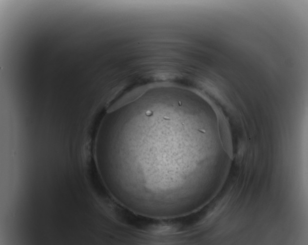 X0000089690356200706281420