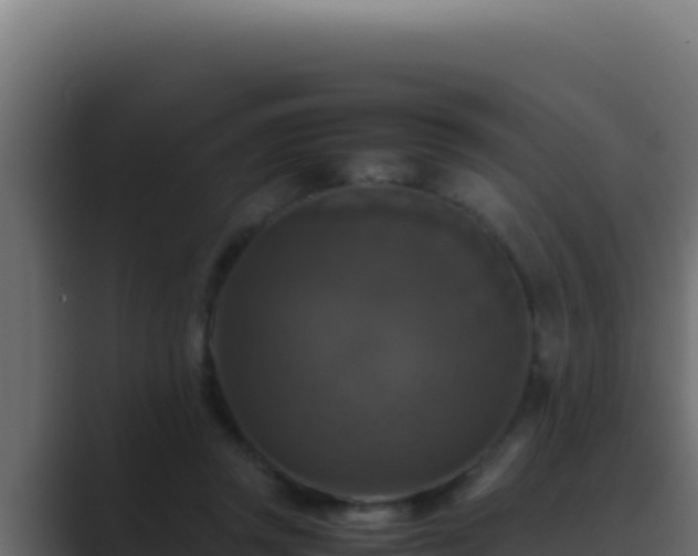 X0000089690357200706281420