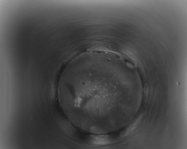 X0000089690359200706281420