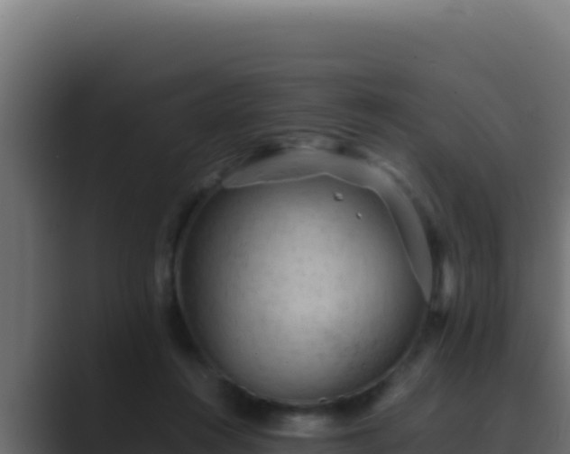 X0000089690360200706281420