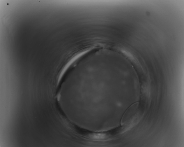 X0000089690361200706281420