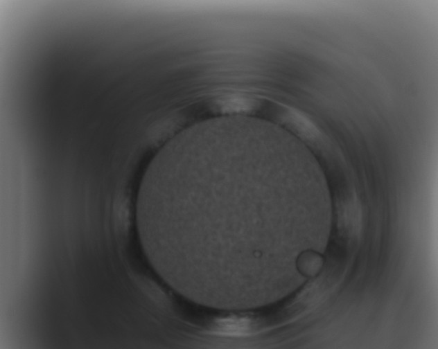 X0000089690362200706281420