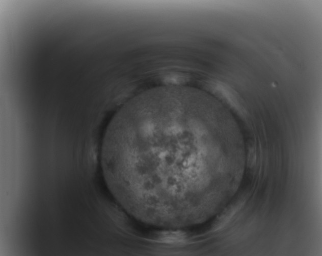 X0000089690363200706281420