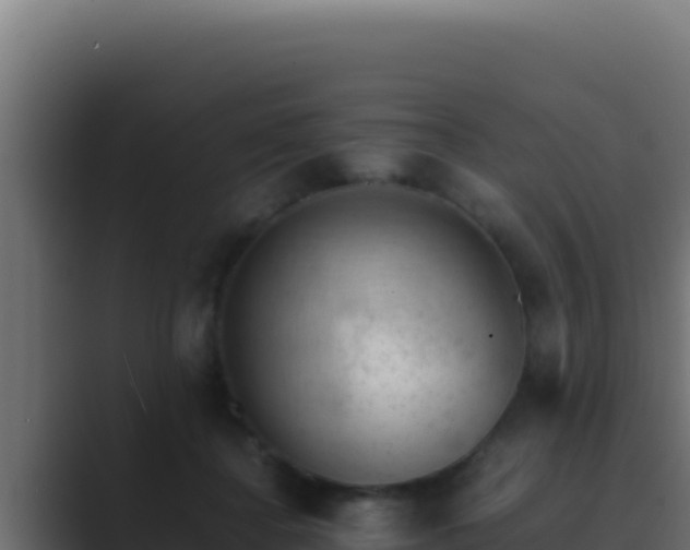 X0000089690364200706281420