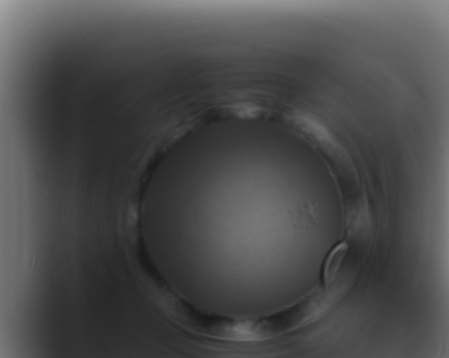 X0000089690365200706281420