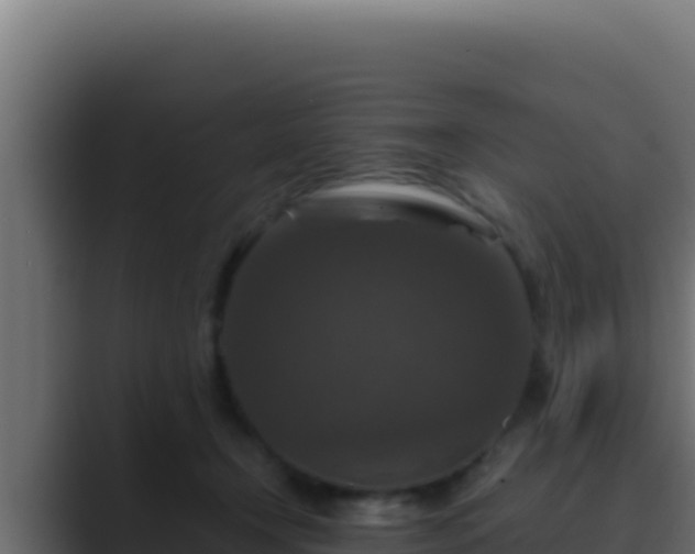 X0000089690366200706281420