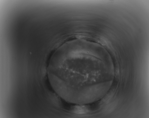 X0000089690367200706281420