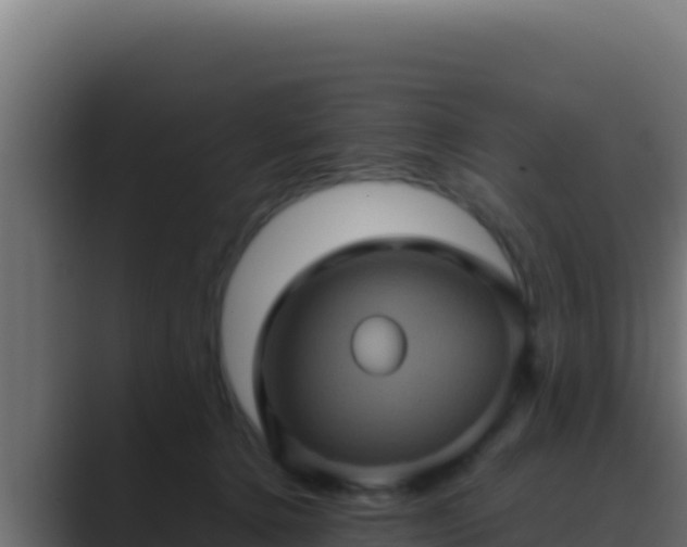 X0000089690368200706281420