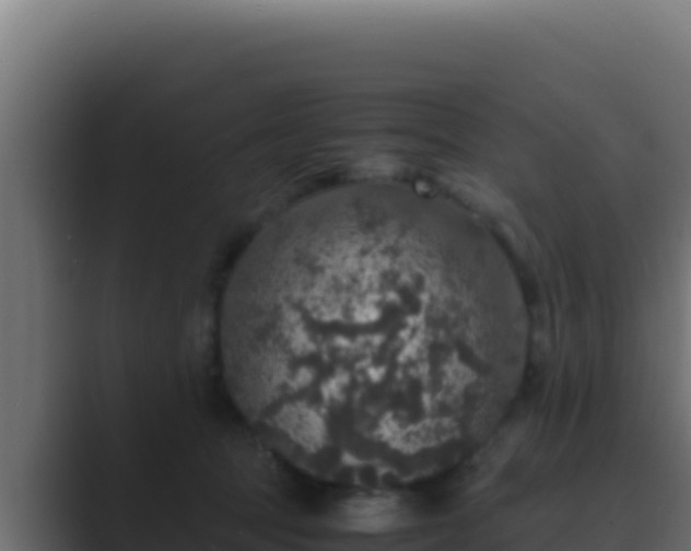 X0000089690369200706281420