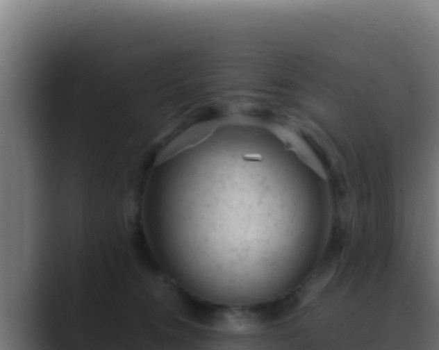 X0000089690372200706281420