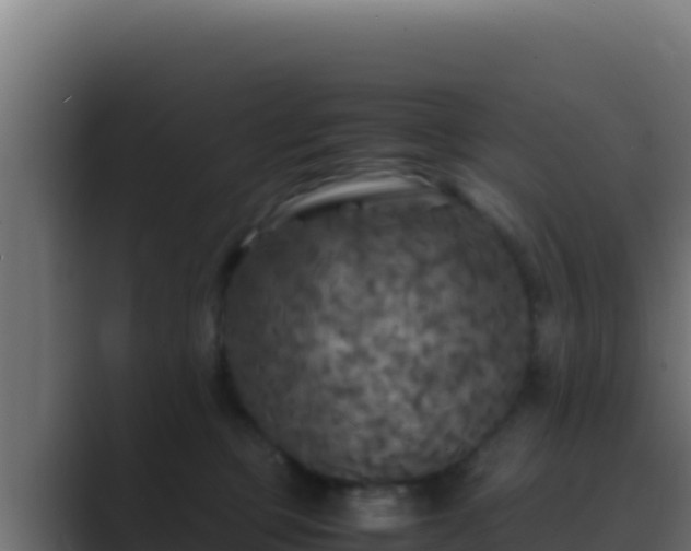 X0000089690373200706281420