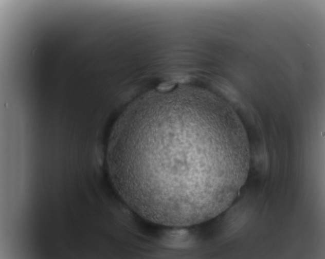 X0000089690374200706281420