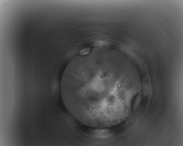 X0000089690375200706281420