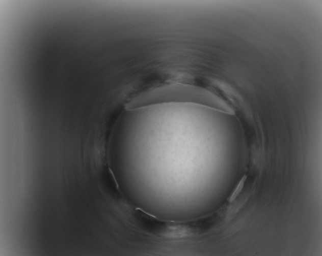 X0000089690376200706281420