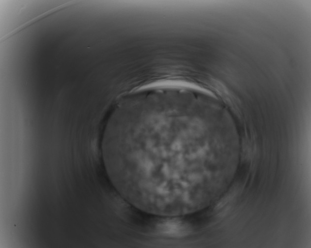 X0000089690377200706281420