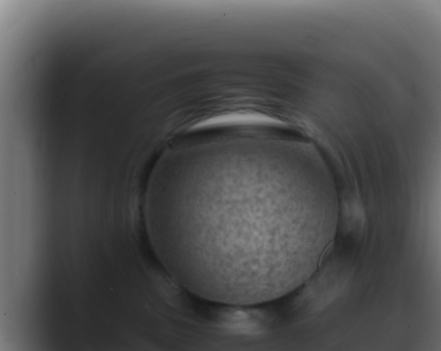 X0000089690379200706281420