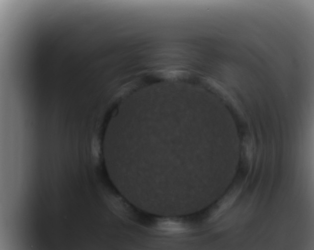 X0000089690380200706281420