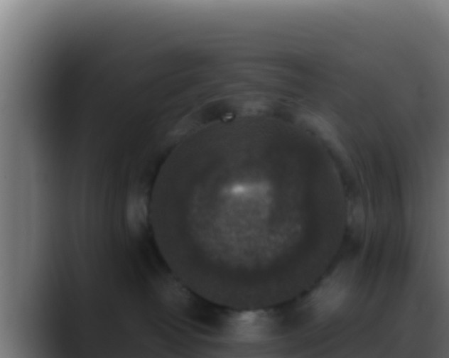 X0000089690382200706281420