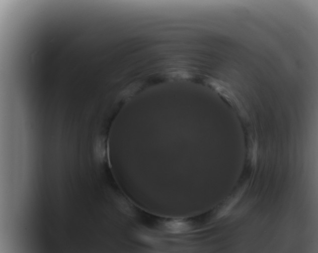 X0000089690383200706281420