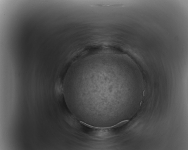 X0000089690384200706281420